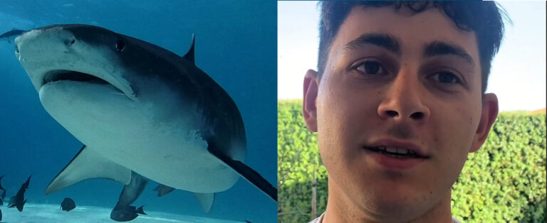 Ricky e gli squali