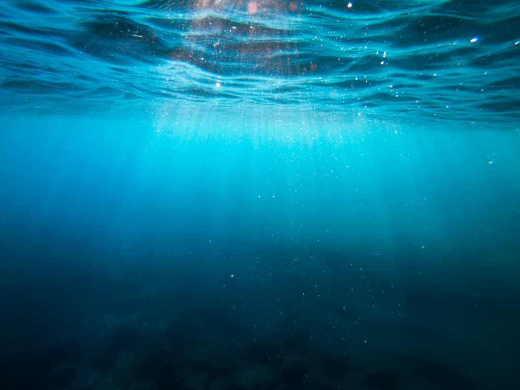 Abisso marino
